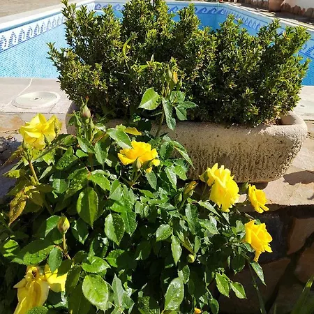 Casa La Serena Dom wakacyjny